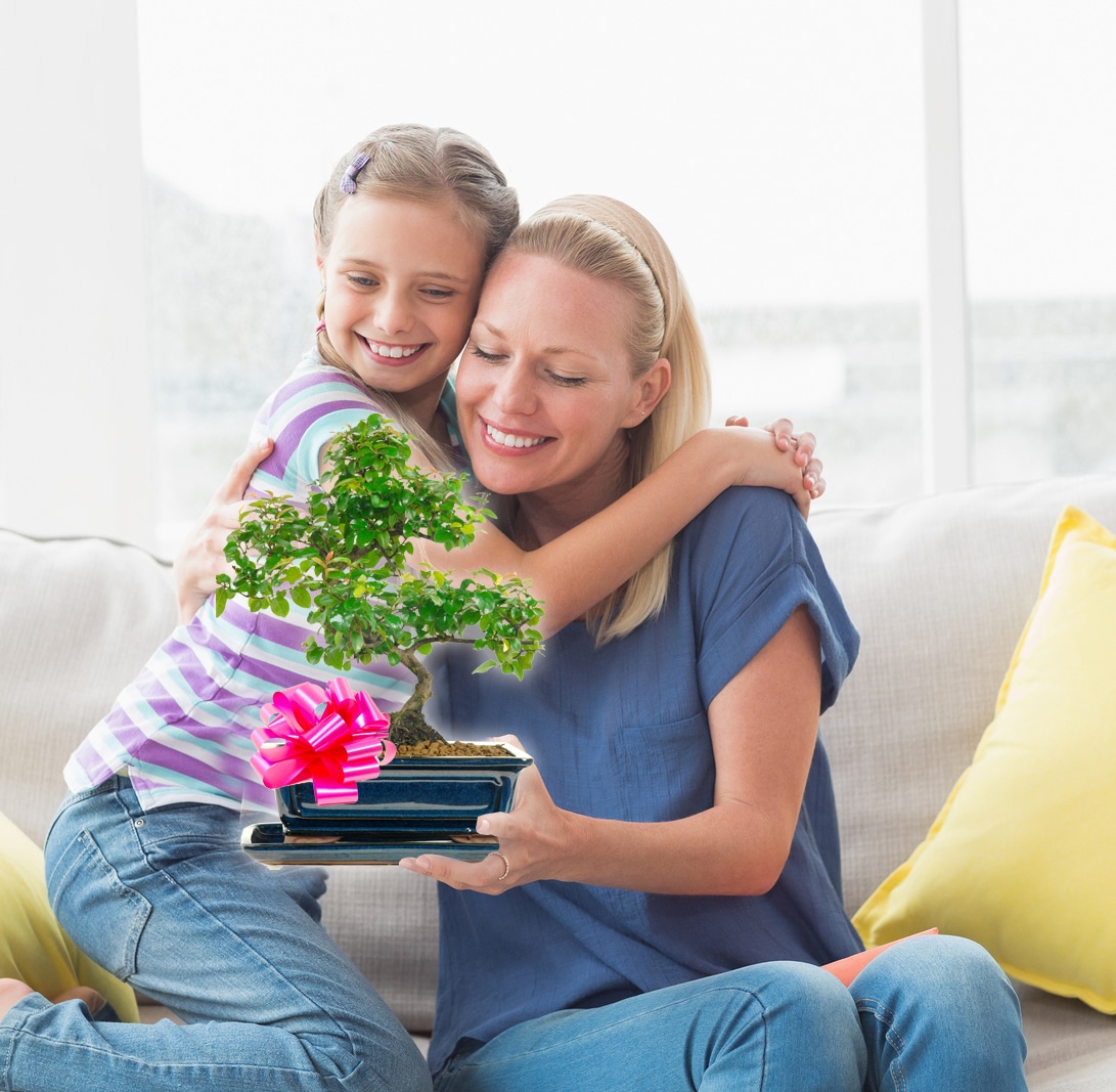 Unusual plant gifts for women