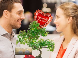 Valentines bonsai tree gifts