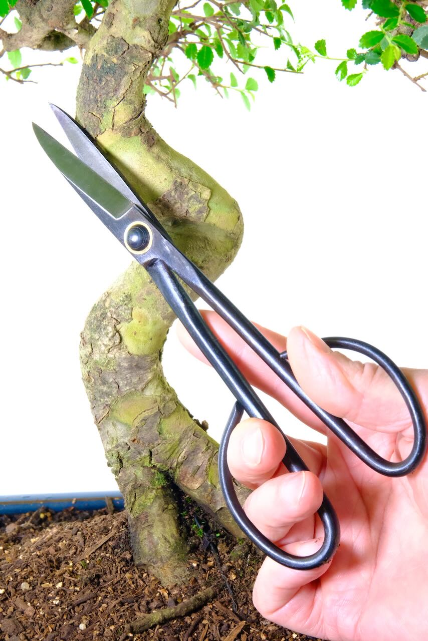 Bonsai Pruning scissors - long handled | Top quality tools