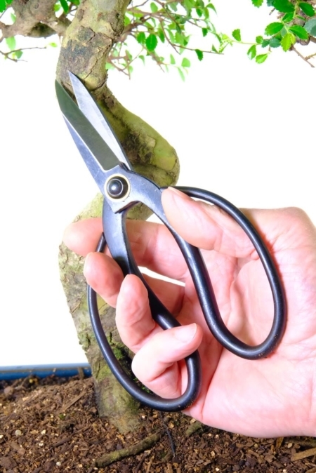 Bonsai Roots shears | High quality bonsai tools