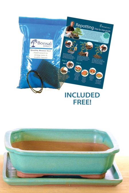 Sage green matte finished ceramic bonsai pot with matching drip tray