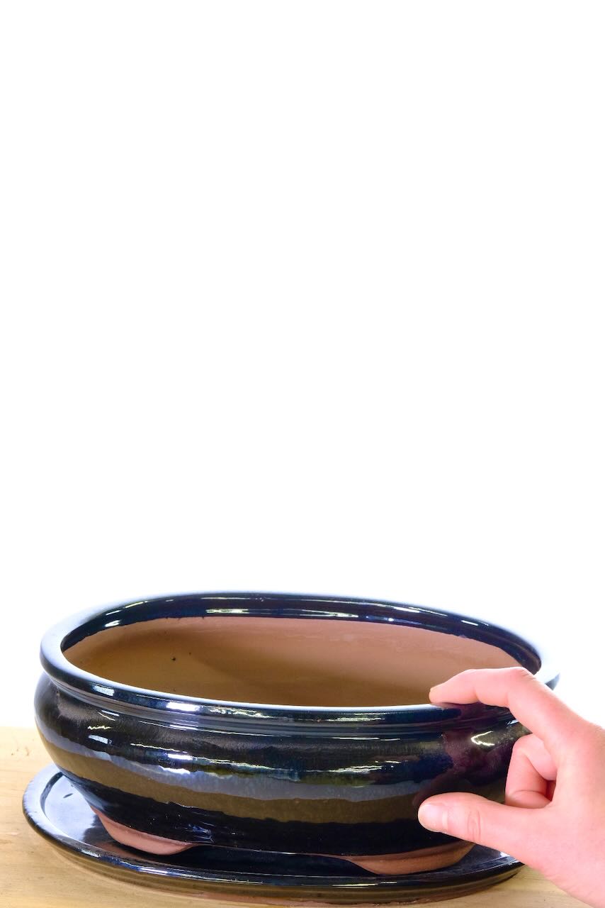 Glossy black 10 inch 27cm bonsai pot & tray