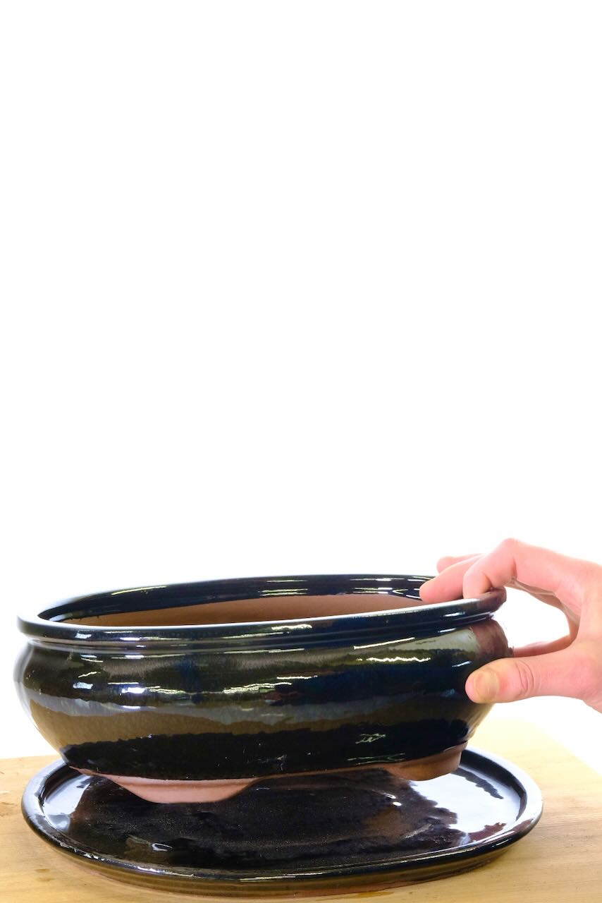 Free delivery of this stylish designed bonsai pot to most of the UK