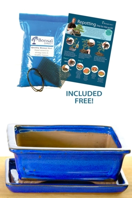 Blue rectangular ceramic pot with matching trays. Lush colour in vibrant glaze.