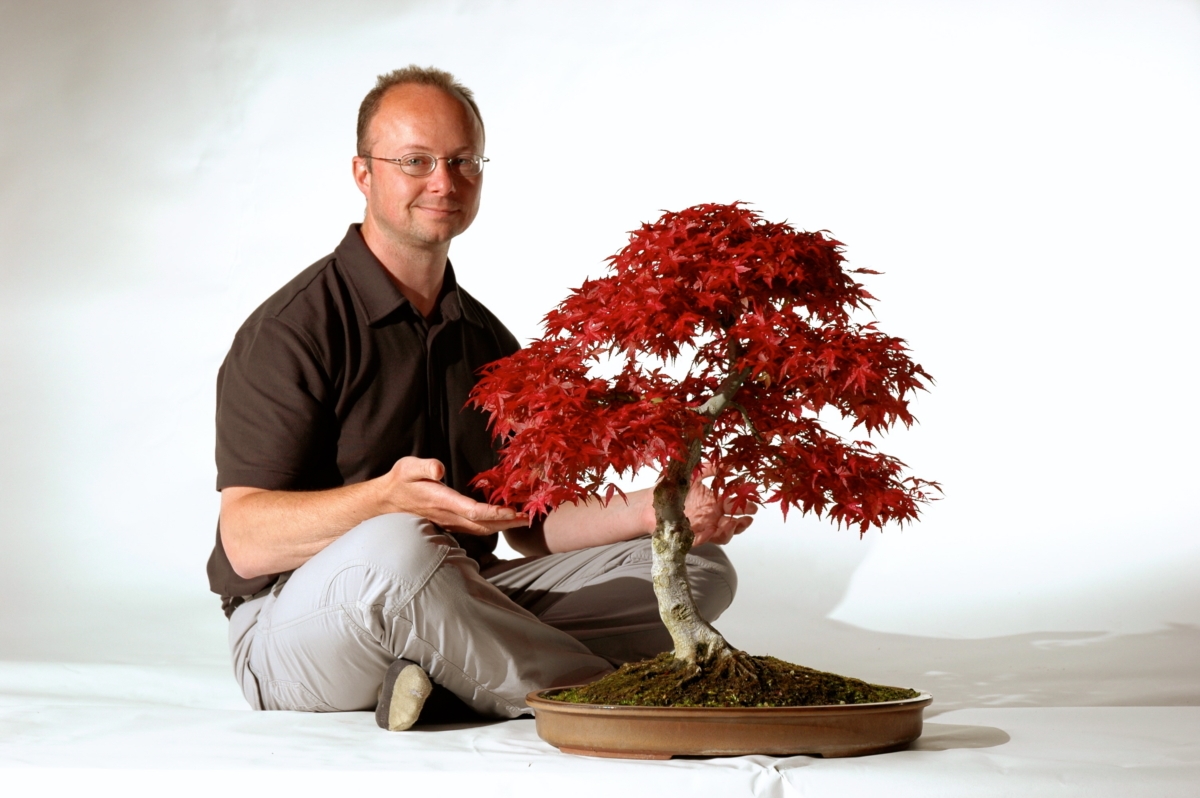 Bonsai Master Lloyd Noall with specimen maple bonsai tree