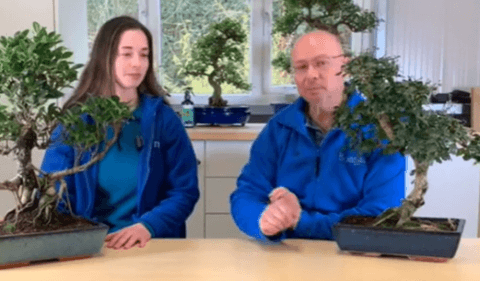 Part 1 of Lloyd & Holly's big repot