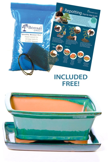 21cm Rectangular Glazed Forest Green Ceramic Bonsai Pot with Matching Tray