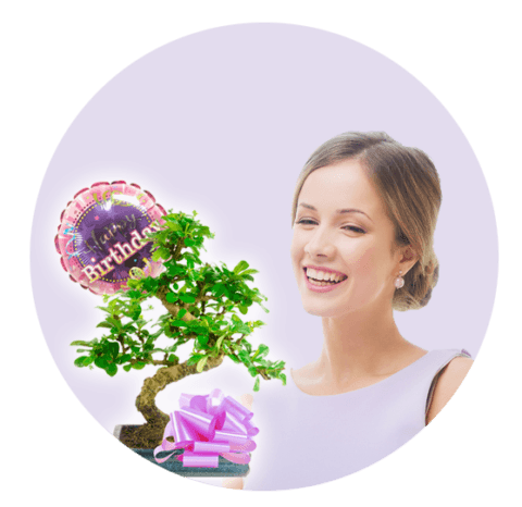 Bonsai tree gifts for women