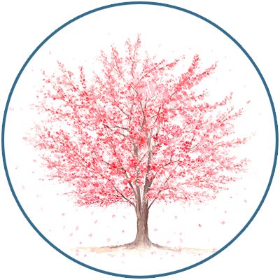 Mother's Day Bonsai Gifts for Sale