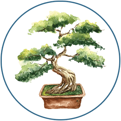 Specimen Outdoor Bonsai Trees for Sale