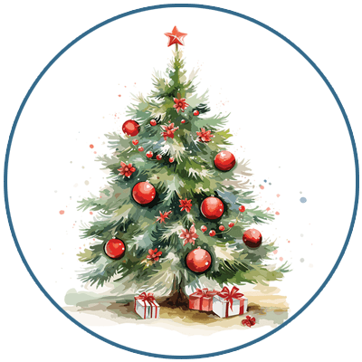 Top Quality Christmas Bonsai Trees for Sale