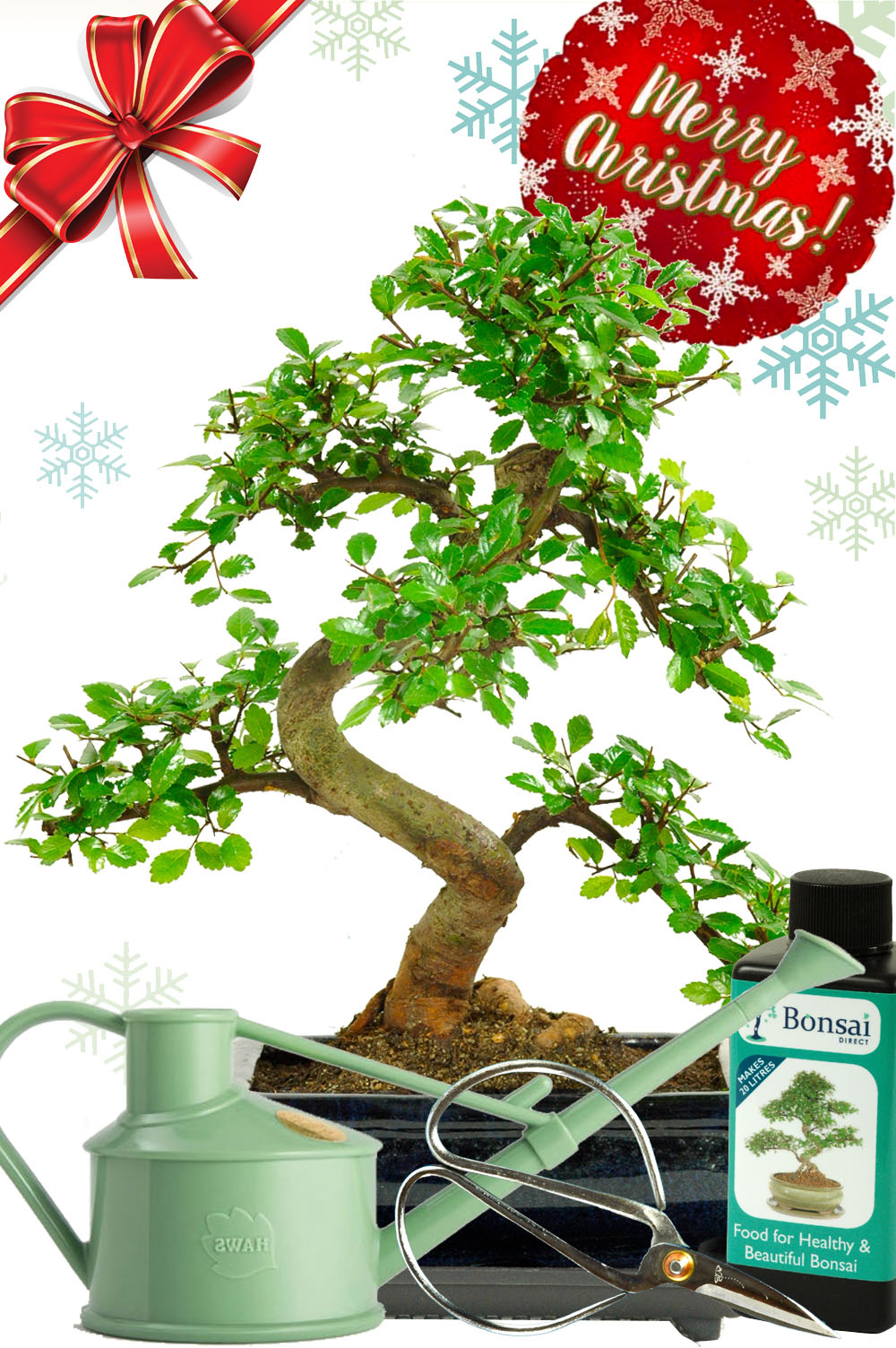 Comprehensive Chinese Elm Christmas gift set for sale UK