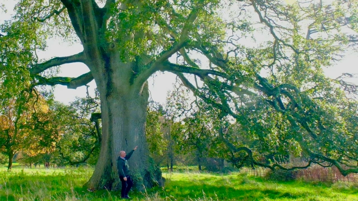 Field trip for inspiration about growing bonsai trees