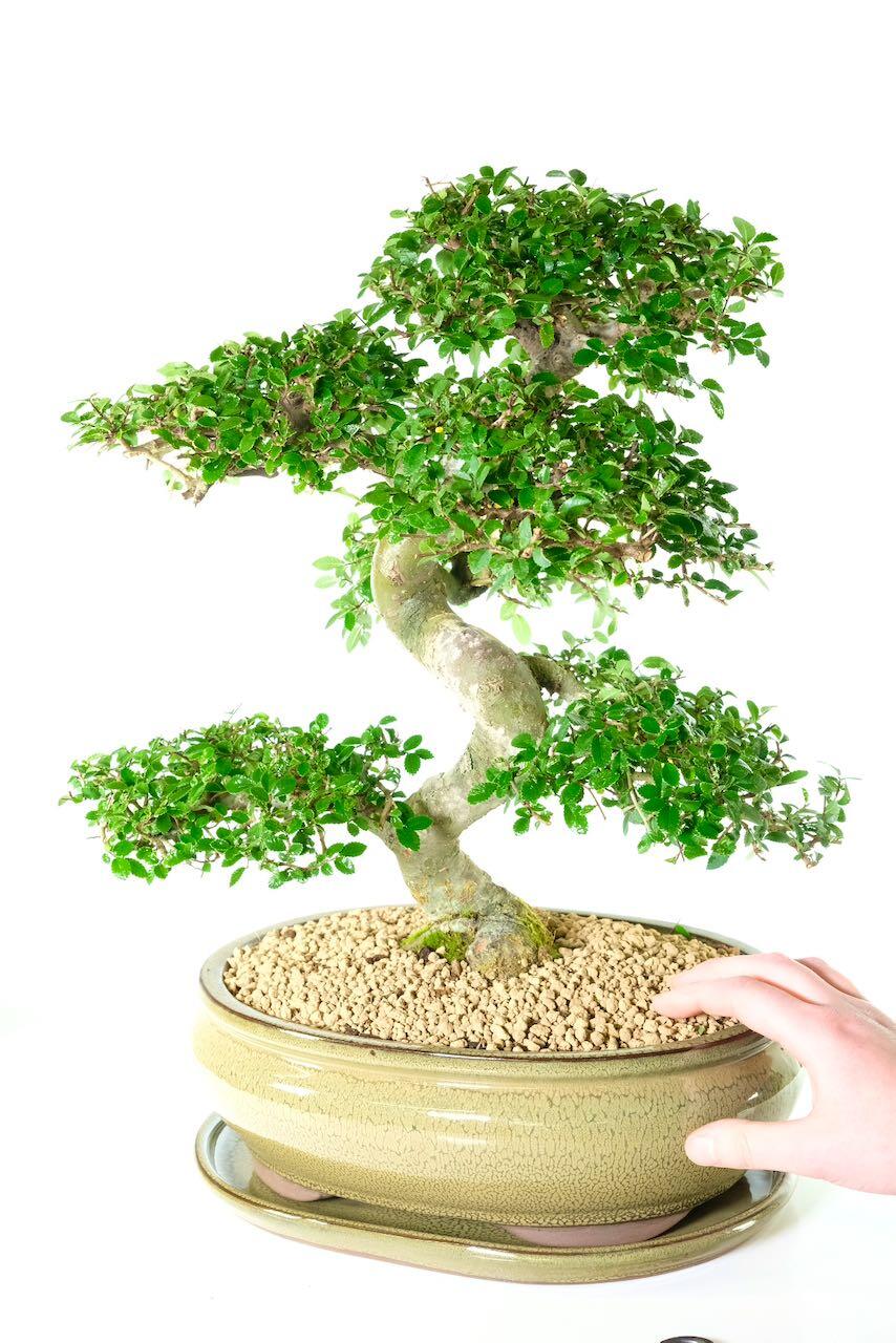 The hand shot gives this image scale and perspective