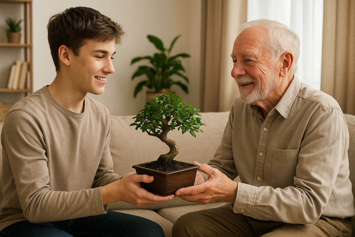 Gifts for grandparents. Bonsai trees makes beautiful joint grandparent gifts.