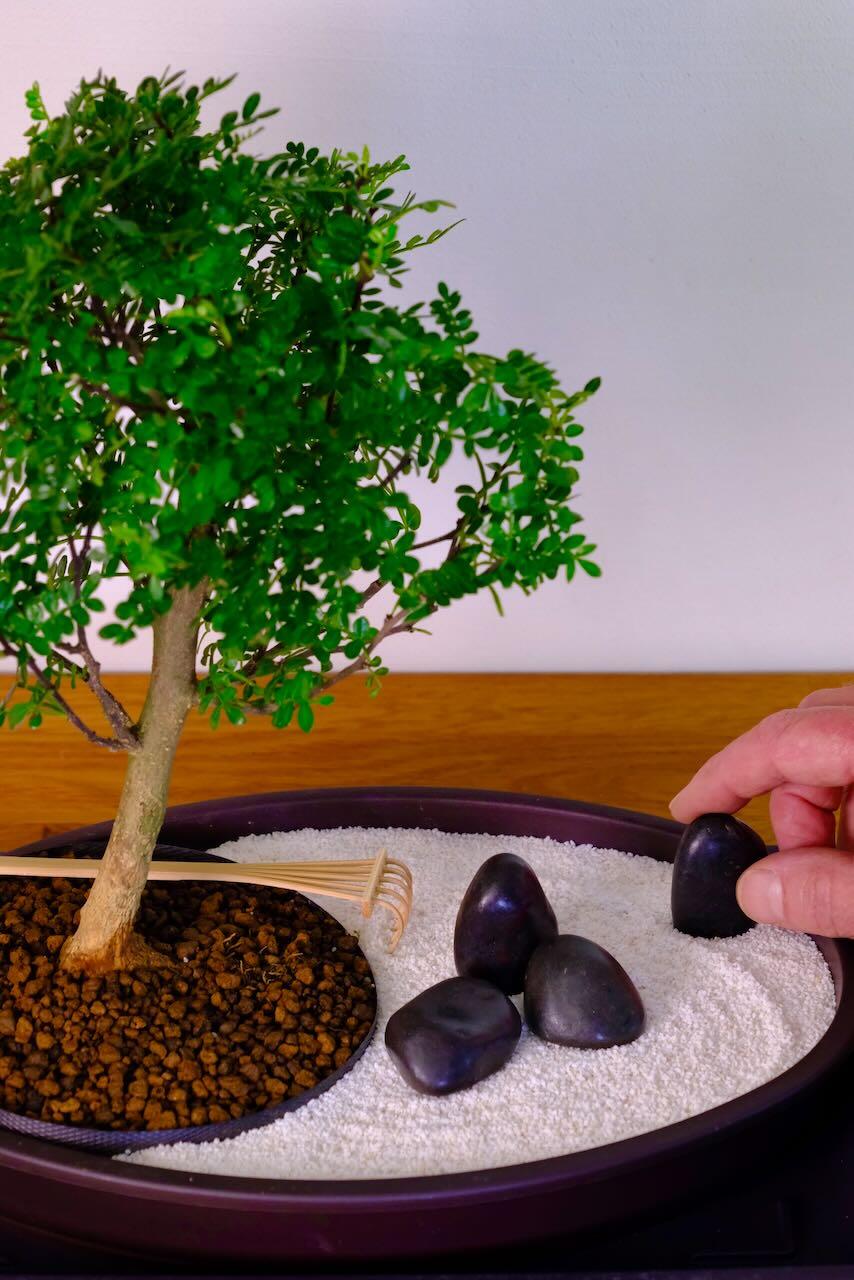 FREE fast delivery o the date you choose to most of the UK