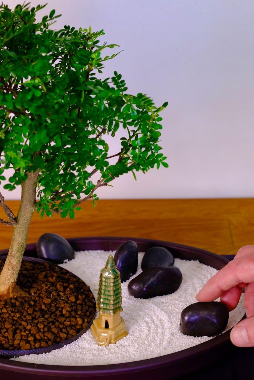 Welcome to the Garden of Stillness: A Peaceful Indoor Zen Retreat