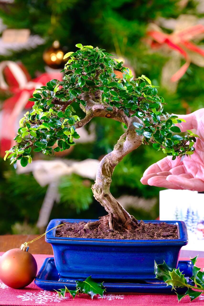 Fast free delivery available on the date you choose