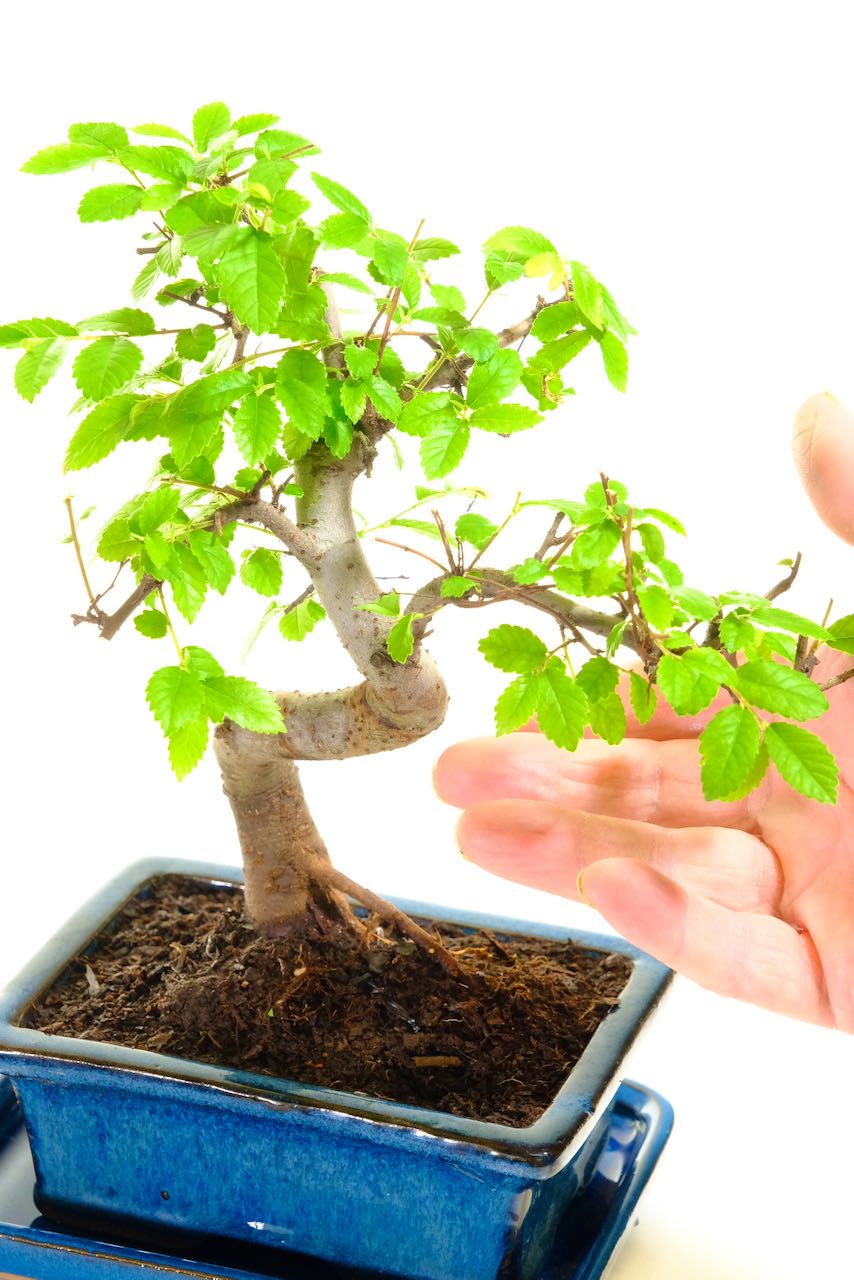 Suitable for indoors and outdoors