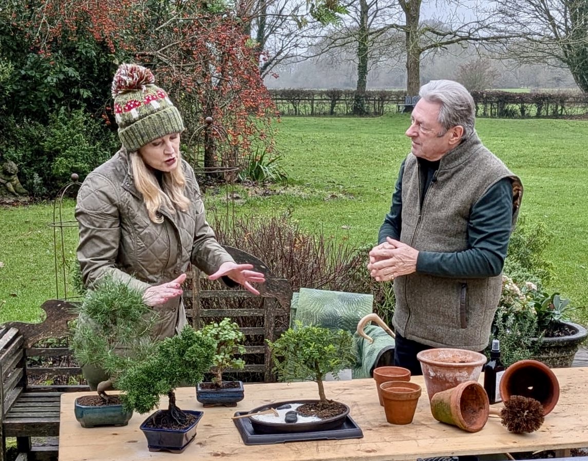 Indoor and Outdoor Bonsai