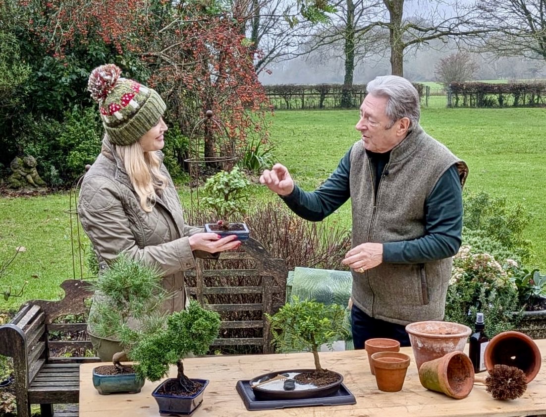 Miniature Jade Bonsai 